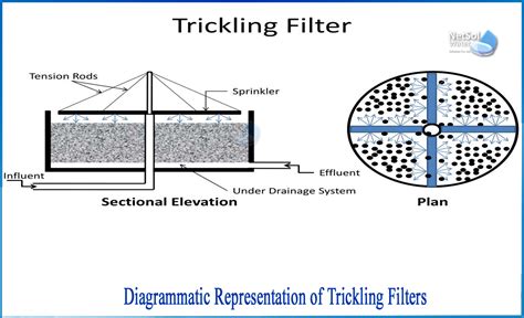 What is trickling filter with diagram - Netsol Water