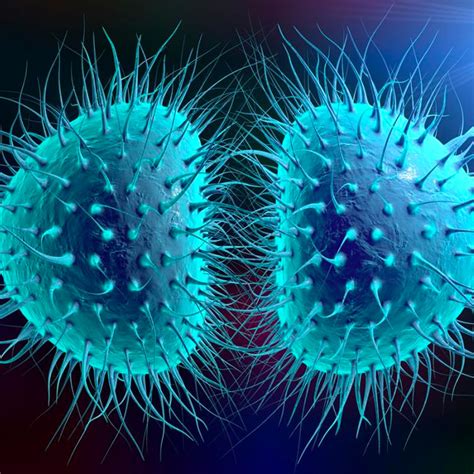 PERFORMANCE OF LACTATE IN DISCRIMINATING BACTERIAL MENINGITIS FROM ...