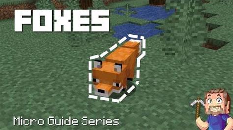 Fox | Minecraft Wiki | Fandom