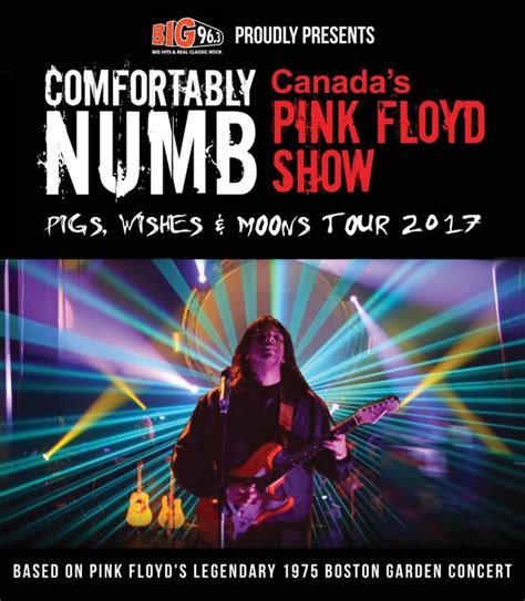 Comfortably Numb - Canada's Pink Floyd Show 2017 | Kingston Grand Theatre