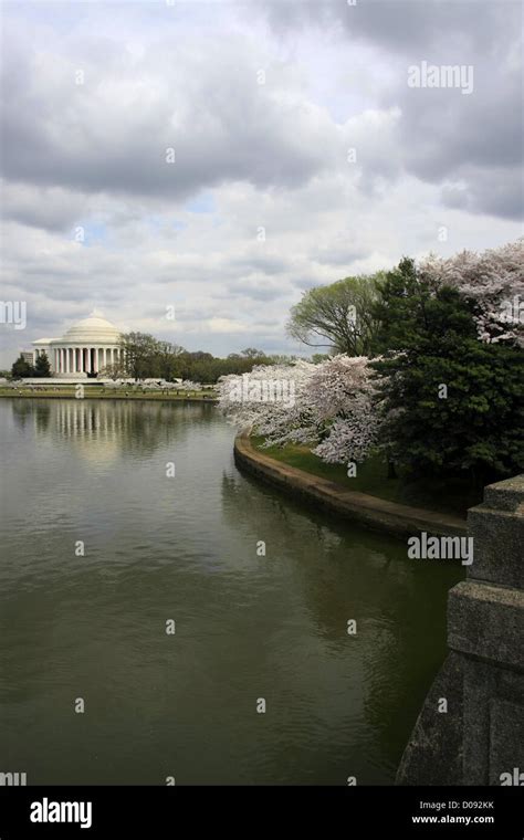 Jefferson Memorial during cherry blossom Stock Photo - Alamy