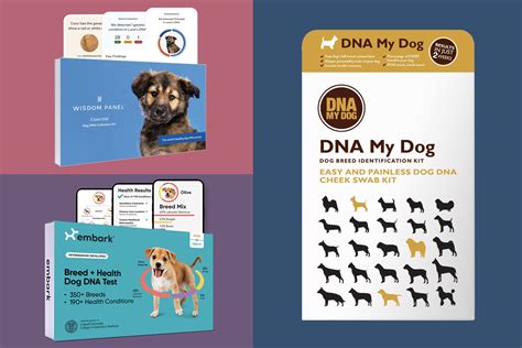 Best Dog DNA Test Kits for 2021 by Money | Money