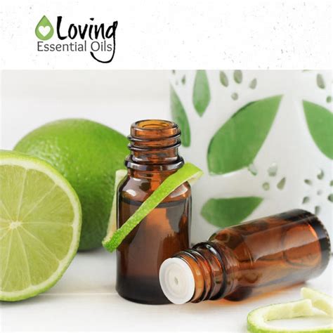 Lime Diffuser Blends - Refresh & Energize Your Day! – Loving Essential Oils