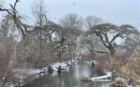 Portland ice storm warning issued for Tuesday, ‘significant icing ...