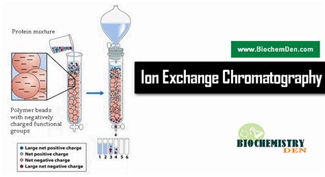 What is Ion Exchange Chromatography and its Applications in 2021 | Ion exchange, Teaching ...