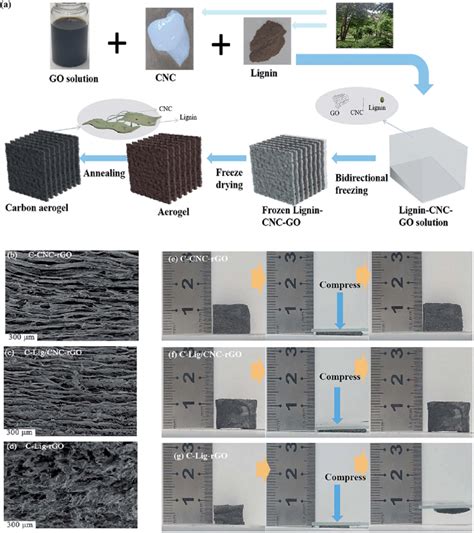 (a) Schematic of carbon aerogel production. (b-d) SEM images of ...