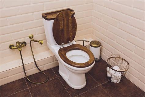 5 Best Wooden Toilet Seats (2020 Reviews) - Sensible Digs