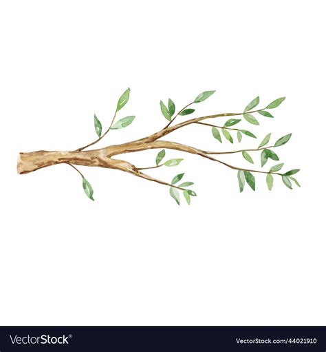 Watercolor tree branch with leaves Royalty Free Vector Image