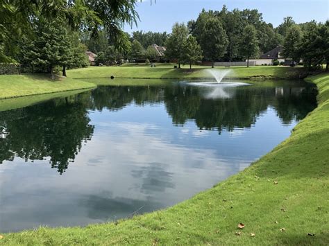 The Best Way To Get Rid Of Pond Algae - Aquatic Control