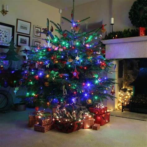 Get Best Christmas Tree Light Ideas to Make Attractive | Christmas tree lighting, Outdoor fairy ...