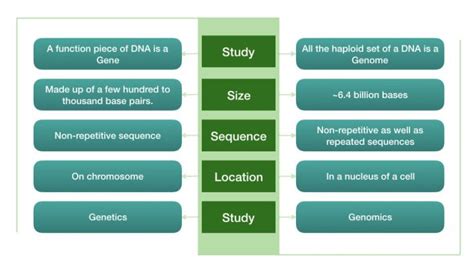 “Genome Vs Gene”, An Unusual Comparison