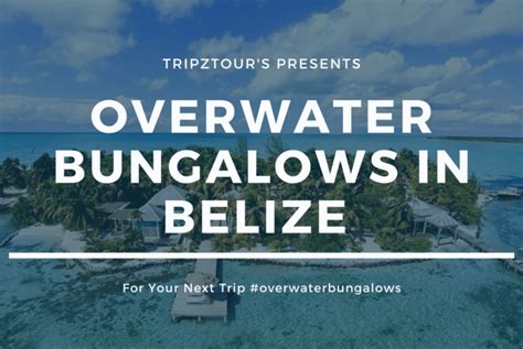 5 Overwater Bungalows In Belize For Next Trip | TripZtour