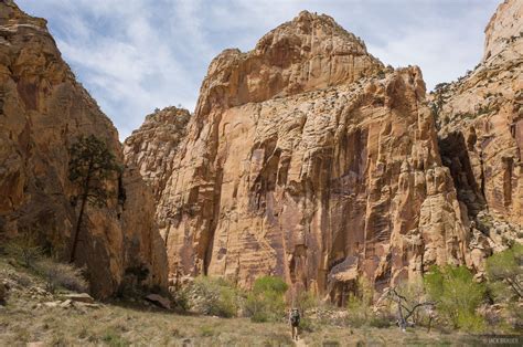 Death Hollow Canyon, Escalante, Utah - April 2014 | Trip Reports | Mountain Photography by Jack ...