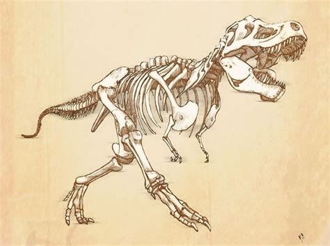 T-Rex drawing skeleton | Skeleton drawings, Skeleton artwork, Dinosaur ...