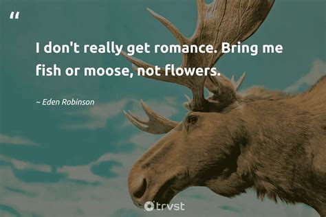 25 Moose Quotes About The Graceful Giant Of The North