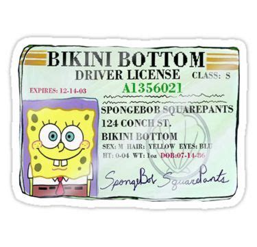 spongebob driver's license meme - Estrella Kraft