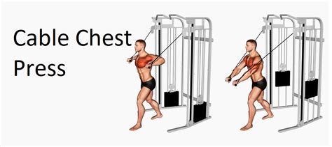 Cable Chest Press: Technique, Benefits, and Alternatives for Upper Body Strengthening - Save Dollar