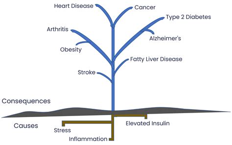 HOMA-IR – Meakin Metabolic Care