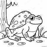 Frog And Toad Coloring Page 16390 12918 sketch template