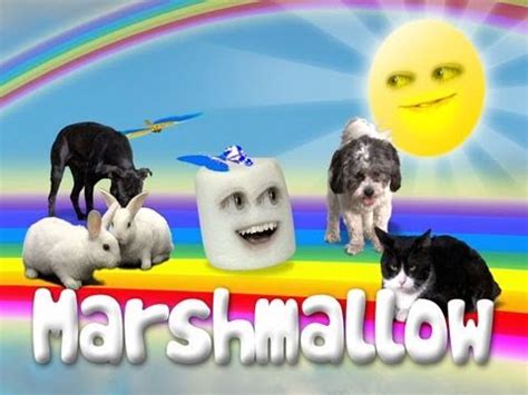 Annoying Orange: Marshmallow Theme Song - YouTube