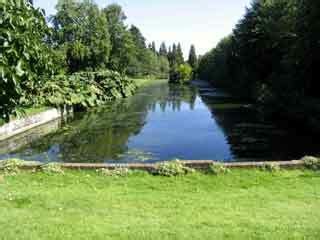 Ingatestone Hall Garden