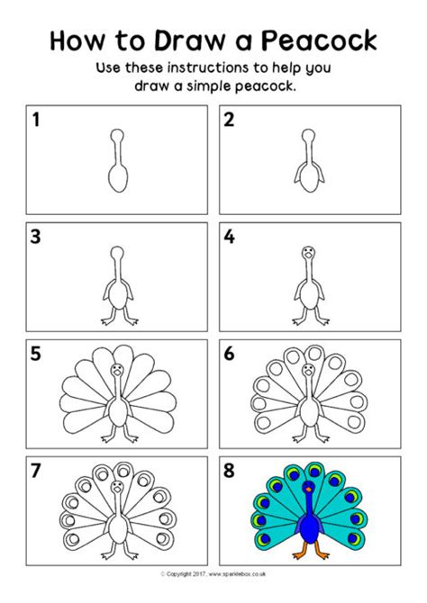 How to Draw a Peacock Instructions Sheet (SB12334) - SparkleBox