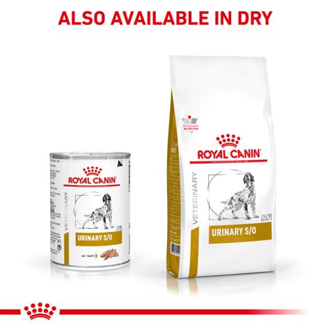 Royal Canin Urinary So - Royal Canin Urinary So Cat Food Canada Where ...