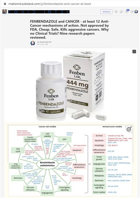 NEW ARTICLE: FENBENDAZOLE and CANCER - at least 12 Anti-Cancer mechanisms of action. Not ...