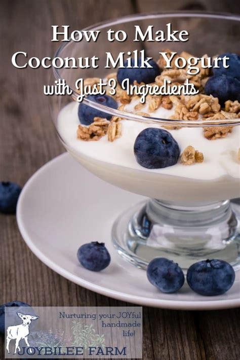 How to Make Coconut Milk Yogurt with Just 3 Ingredients | Joybilee Farm