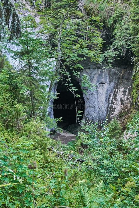 Cave in the Limestone Mountains Stock Photo - Image of apuseni, outdoor: 100177814