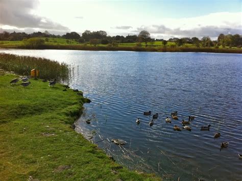 Claremorris Gallery, Co. Mayo West of Ireland | mayo-ireland.ie