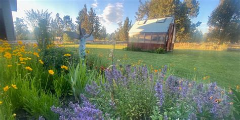 About | Mountain Lavender Farm