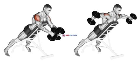 Dumbbell Reverse Fly - Home Gym Review