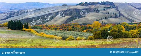 Traditional Rural Scenery of Beautiful Tuscany. Italy Stock Photo - Image of green, incredible ...