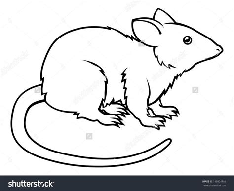 Rat Line Drawing at GetDrawings | Free download