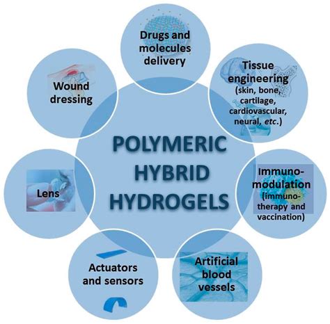 Medical Applications of Hybrid Hydrogels Containing Natural Polymers ...