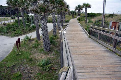 Myrtle Beach State Park - MyrtleBeach-SC.com