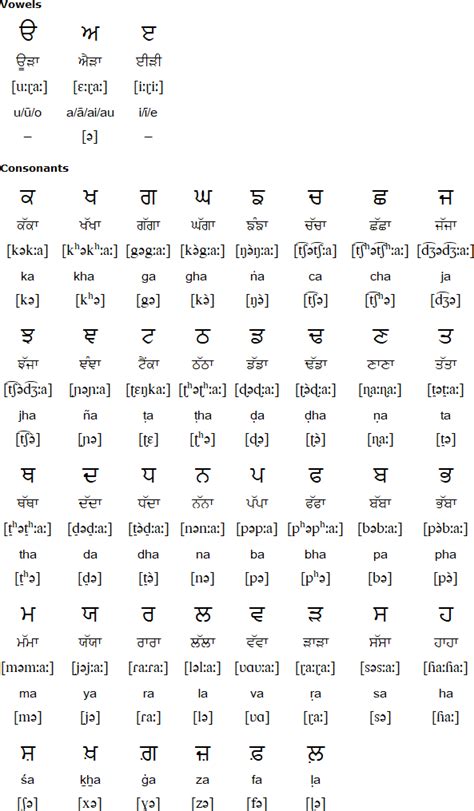 Punjabi Language Alphabet With Hindi