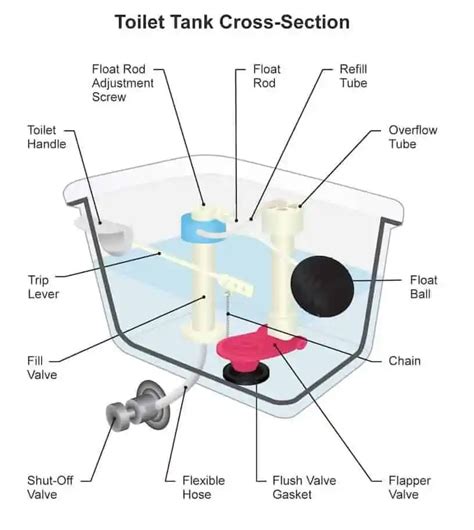 Parts Of A Toilet | Components Of A Toilet