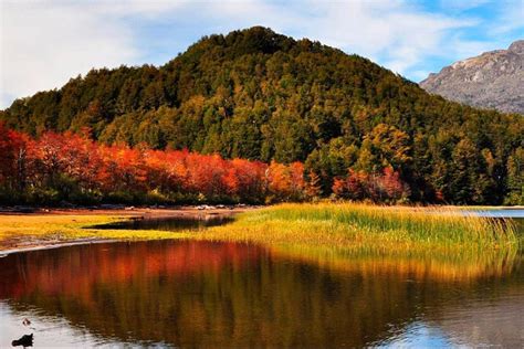 Discover Tierra Del Fuego National Park with End of the World Train ...