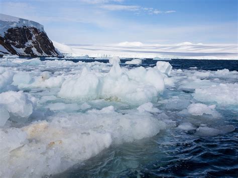 U.S. Scientists Safely Retrieved from Ice-Bound Antarctic Island - Eos