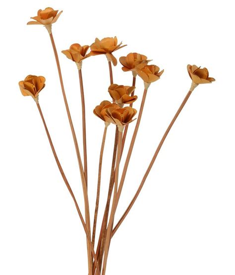 Woodenza Dry Flower Sticks- Set of 10: Buy Woodenza Dry Flower Sticks ...