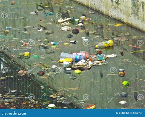 Water Pollution With Scum Royalty-Free Stock Photo | CartoonDealer.com ...