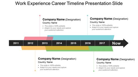 Top 10 Career Timeline Templates with Samples and Examples