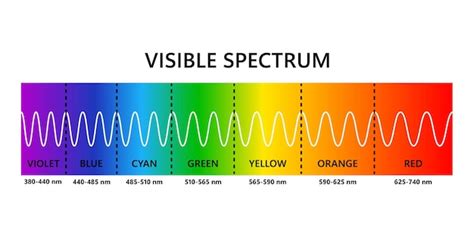 Espectro de luz visible longitud de onda de luz óptica espectro de ...