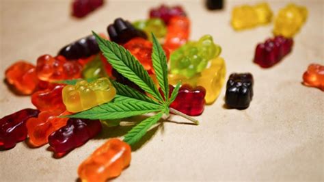 Anatomy One CBD Gummies Reviews (SCAM EXPOSED) Don’t Buy Before Read Is it Legit