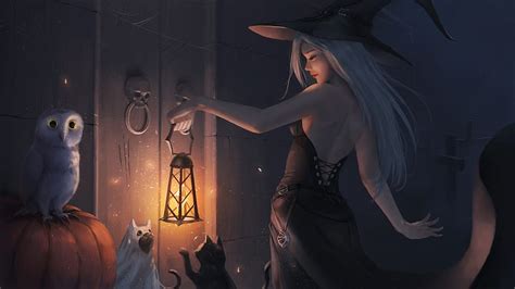 Witch, hat, luminos, lantern, halloween, cat, fantasy, cc yang, allen ...