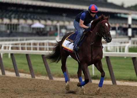 The Belmont Stakes: What You Need To Know | Malverne, NY Patch