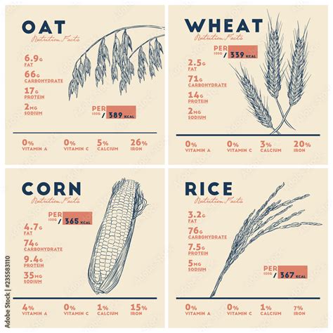 Health benefits of cereals, rice wheat oat and corn . Nutrition facts ...