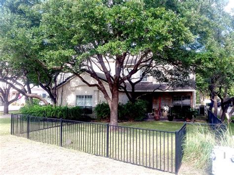 Live Oak Tree Care | Residential Tree Service | Trimming Oak Trees | Oak Tree Maintenance ...